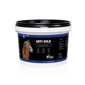 Arti-Gold 2,7 kg