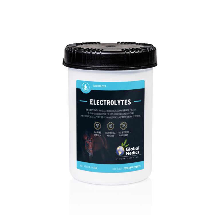Electrolytes horses