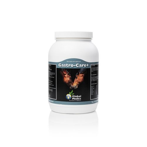 Gastro-Care+ by Global Medics Horse Supplements