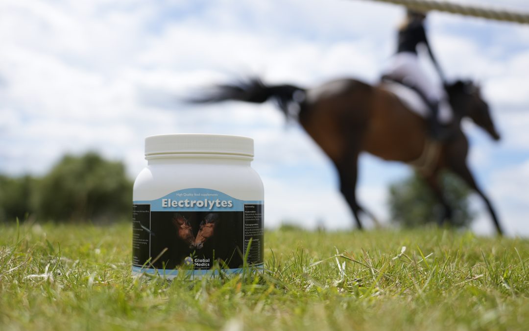 Electrolytes for your horse: all you need to know!